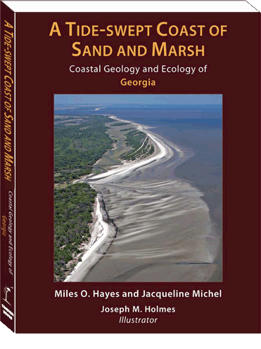 A Tide-Swept Coast: Coastal Geology and Ecology of Georgia